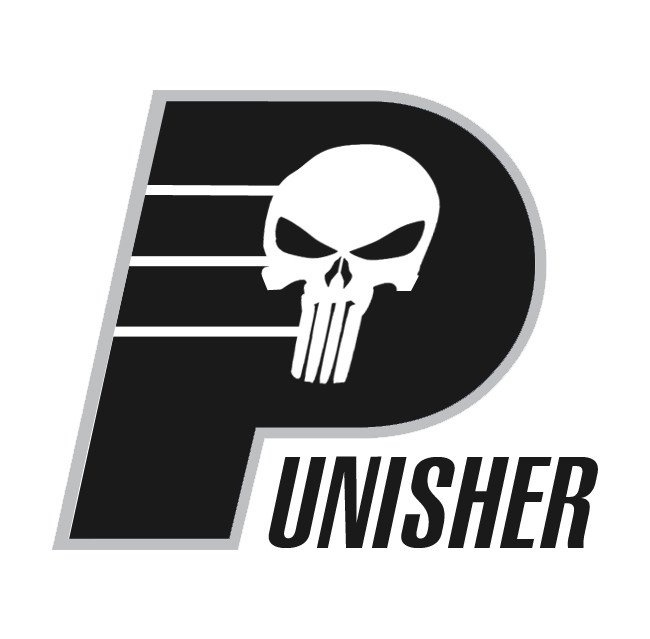 Indiana Pacers Punisher logo DIY iron on transfer (heat transfer)